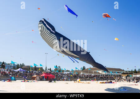 Festival der Winde, Bondi Beach, Sydney. Australiens größter kite Festival. Stockfoto