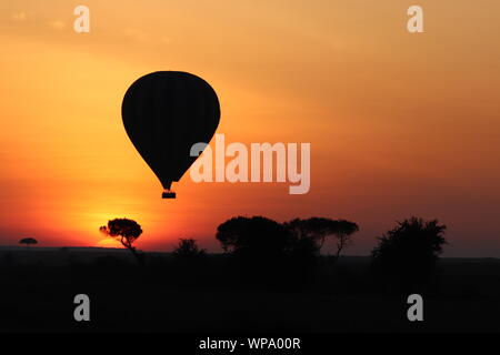 Hot Air Balloon im Sunrise, Masai Mara National Park, Kenia. Stockfoto