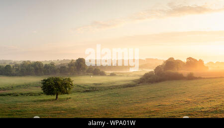 Sonnenaufgang über dem Wensum Tal auf einem nebligen Sommermorgen. Stockfoto