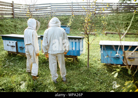 Zwei beekepers in Schützende Uniform arbeiten auf einer kleinen traditionellen Bienenhaus mit hölzernen Bienenstöcke, Rückansicht Stockfoto