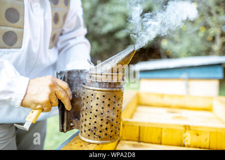 Imker Honig Bienen mit Biene Rauchen Raucher auf die imkerei Stockfoto