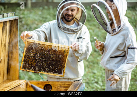 Zwei junge beekepers in Schützende Uniform arbeiten auf einer kleinen Imkerei Bauernhof, Wabe, vom hölzernen Bienenstock Stockfoto