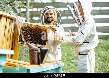 Zwei junge beekepers in Schützende Uniform arbeiten auf einer kleinen Imkerei Bauernhof, Wabe, vom hölzernen Bienenstock Stockfoto