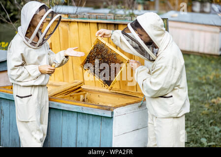 Zwei junge beekepers in Schützende Uniform arbeiten auf einer kleinen Imkerei Bauernhof, Waben aus dem Holz- Bienenstock Stockfoto