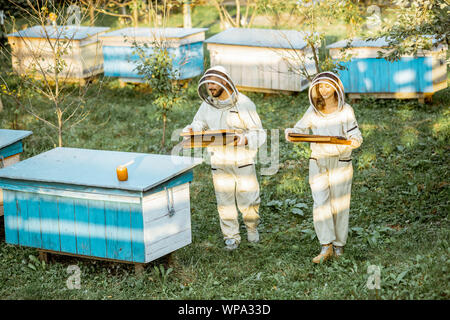 Zwei Imker in Schützende Uniform gehen mit Waben während der Arbeit auf einem traditionellen Bienenhaus. Konzept der Bienenzucht und kleine Landwirtschaft Stockfoto