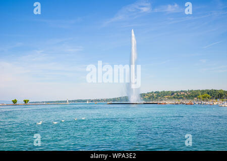 Jet d'Eau, berühmten Brunnen in Genf in der Schweiz am Genfer See gelegen. Symbol der Schweizer Stadt. Wahrzeichen und touristenattraktion fotografiert an einem sonnigen Sommertag. Stockfoto