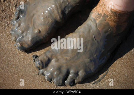 Füße in schleimigem Matsch Schlamm auf einem Strand. Stockfoto