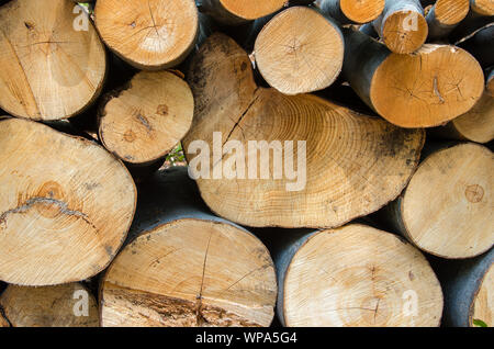 Haufen von Stückholz bereit für den winter Stockfoto