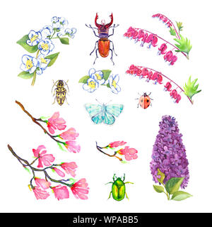 Frühling Blumen, Käfer und blauer Schmetterling Sammlung auf weißen Hand isoliert gemalte Aquarell Illustration, Design Element für Karte, Einladung Stockfoto