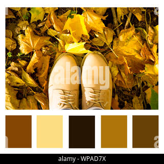 Farblich passende Palette, modische Damenschuhe beige Frauen vor dem Hintergrund der hellen Herbstlaub, Ansicht von oben Stockfoto