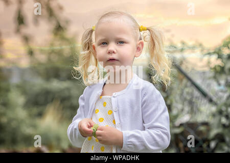 Das kleine Mädchen sammelt eine Ernte von Gemüse im Garten Stockfoto