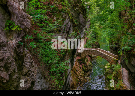 Die alte steinerne Brücke in der Nähe von Saut de Brot, Menzingen, Neuchâtel, Schweiz Stockfoto