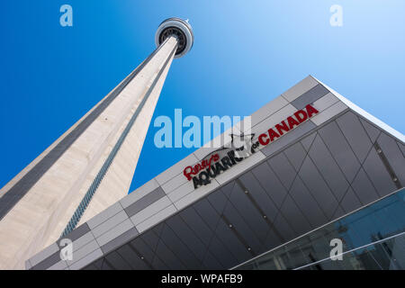 Ripley's Aquarium von Kanada und Toronto CN Tower Stockfoto