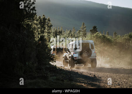 Freunde fahren zwei 4 x 4 während des Sonnenuntergangs im Wald Stockfoto