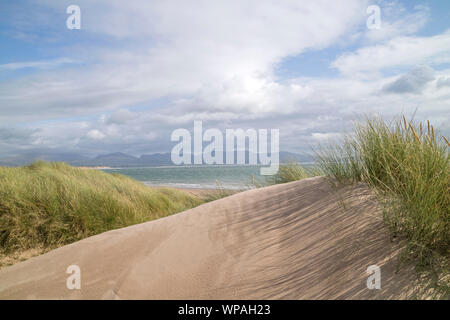 Rhosneigr Warren National Nature Reserve, Ynys Llanddwyn Island, Anglesea, North Wales, UK Stockfoto