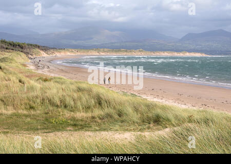 Rhosneigr Warren National Nature Reserve, Ynys Llanddwyn Island, Anglesea, North Wales, UK Stockfoto