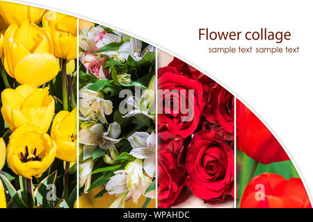 Blume Collage aus verschiedenen frischen Blumen in Form von vertikalen Streifen, mit Kopie Platz für Text. Stockfoto