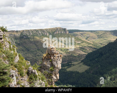 Tarn Schlucht Cevennen Frankreich Stockfoto