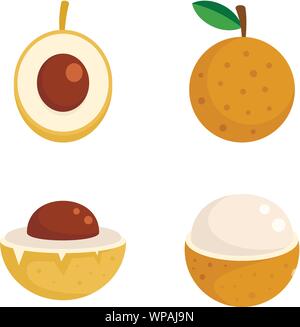 Longan Symbole gesetzt. Flache Satz longan Vector Icons für Web Design Stock Vektor
