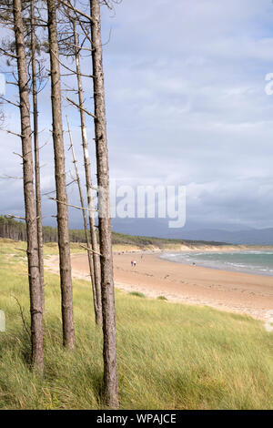 Rhosneigr Warren National Nature Reserve, Ynys Llanddwyn Island, Anglesea, North Wales, UK Stockfoto