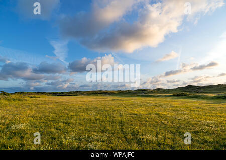 Berkheide Dünen südlich von Katwijk aan Zee, Niederlande Stockfoto