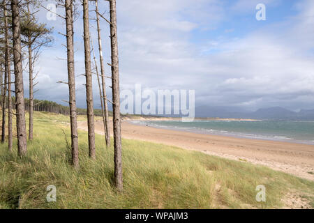 Rhosneigr Warren National Nature Reserve, Ynys Llanddwyn Island, Anglesea, North Wales, UK Stockfoto