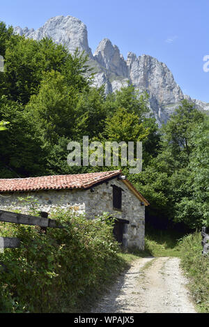 Eine Scheune durch den Fußweg westwärts von Fuente De, Picos de Europa, Kantabrien, Nordspanien führt. Stockfoto