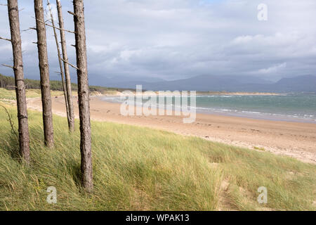 Rhosneigr Warren National Nature Reserve, Ynys Llanddwyn Island, Anglesea, North Wales, UK Stockfoto