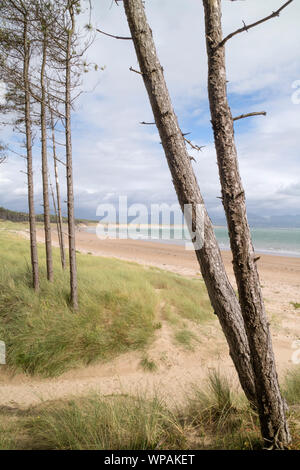 Rhosneigr Warren National Nature Reserve, Ynys Llanddwyn Island, Anglesea, North Wales, UK Stockfoto