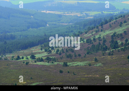 Panoramablick vom Gipfel des Bennachie, einem der prominentesten Hügel in Aberdeenshire, Schottland Stockfoto