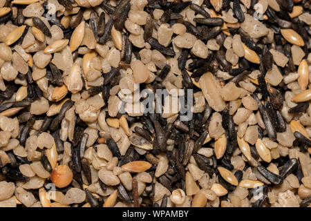 Mischung von Saatgut, bestehend aus Sonnenblumen Chips, kanarischen, und nyjer Thistle Saatgut als birdseed Finch Lebensmittel verwendet Stockfoto