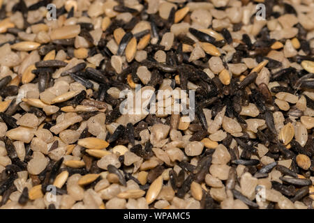 Mischung von Saatgut, bestehend aus Sonnenblumen Chips, kanarischen, und nyjer Thistle Saatgut als birdseed Finch Lebensmittel verwendet Stockfoto