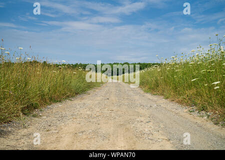 Eine unbefestigte Straße durch einen Sommer Feld ausdehnen in die Ferne. Stockfoto