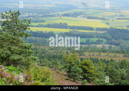 Panoramablick vom Gipfel des Bennachie, einem der prominentesten Hügel in Aberdeenshire, Schottland Stockfoto