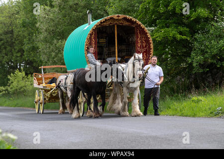 Bogen Gypsy Caravan von zwei Pferden durch ein flaches Bett Warenkorb folgen gezogen, nach unten reisen Mallerstang auf dem Weg nach Appleby Horse Fair. UK. Stockfoto