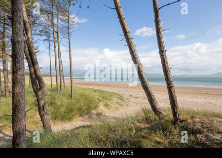 Rhosneigr Warren National Nature Reserve, Ynys Llanddwyn Island, Anglesea, North Wales, UK Stockfoto