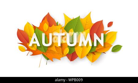 Herbst saisonal Web Banner Vorlage. Helle fallen lässt. Poster, Karten, Etiketten, Banner Design. Vector Illustration Stock Vektor