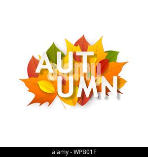 Herbst Design. Rahmen mit Blätter im Herbst für die Grußkarte oder Banner, Flyer. Vector Illustration Stock Vektor