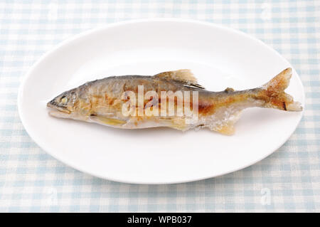 Gegrillter Fisch mit Salz sweetfish Japanische Gerichte Ayu no shioyaki auf dem Teller auf dem Tisch isoliert Stockfoto