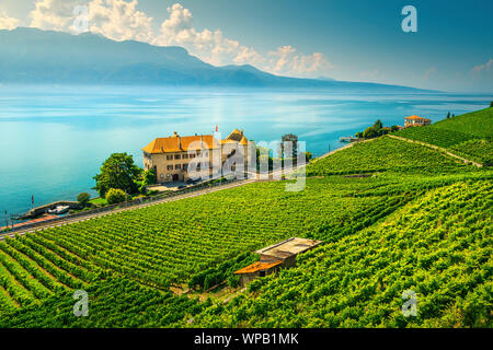 Spektakuläre terrassierten Weinberg und den Genfer See. Wunderschöner Ort mit grünen Weinbergen in der berühmten Weinregion Lavaux, Puidoux, Kanton Waadt, Switzerla Stockfoto