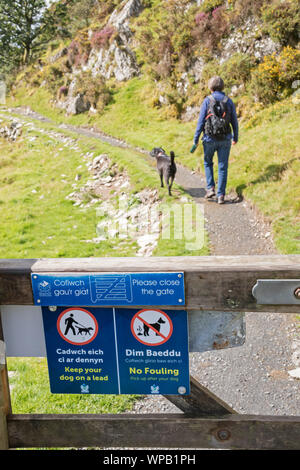 Fußweg die Zeichen, Wanderer, ihre Hunde an der Leine in der Landschaft zu halten. Großbritannien, Großbritannien Stockfoto
