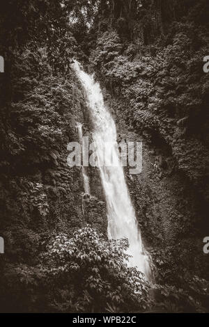 Melanting Wasserfall in Munduk, Bali, Indonesien Stockfoto