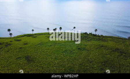 Luftaufnahme von zuckerrohrfeldern an der Küste von St. Kitts. Stockfoto