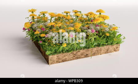 3D-kubische Blumen Gras Land mit Boden Geologie Querschnitt, 3D-Illustration Boden Ökologie Stockfoto