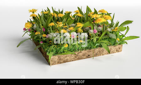 Platz der mini Garten mit Blumen und Grünes Gras Feld mit weißem Hintergrund, 3D-Darstellung Stockfoto