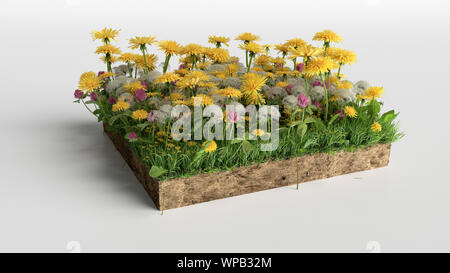 Grüne Gras und die Blumen Insel auf weißem Hintergrund. 3D-Rendering Stockfoto