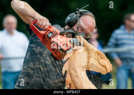 Sandringham, Norfolk, Großbritannien. 08.September 2019. Die 2019 Sandringham Spiel & Country Fair gehalten auf dem Sandringham Estate. Bild zeigt die Drehzahl chainsaw Carving Wettbewerb. Urban Images-News/Alamy Stockfoto