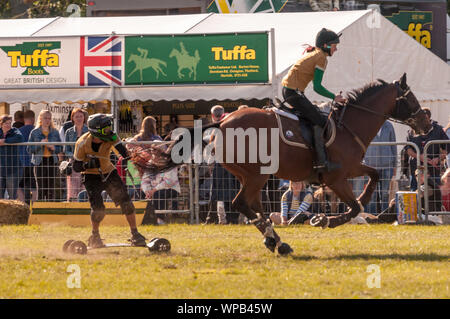 Sandringham, Norfolk, Großbritannien. 08.September 2019. Die 2019 Sandringham Spiel & Country Fair gehalten auf dem Sandringham Estate. Bild zeigt den Wettbewerb im Jahr 2019 Horseboarding Meisterschaften. Urban Images-News/Alamy Stockfoto