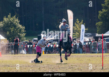 Sandringham, Norfolk, Großbritannien. 08.September 2019. Die 2019 Sandringham Spiel & Country Fair gehalten auf dem Sandringham Estate. Bild zeigt den Wettbewerb im Jahr 2019 Horseboarding Meisterschaften. Urban Images-News/Alamy Stockfoto