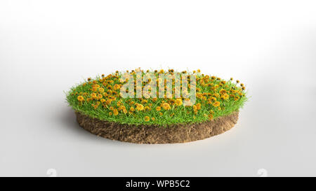 3D-Darstellung der Querschnitt der Boden mit Gras und Blumen isoliert auf weißem Stockfoto